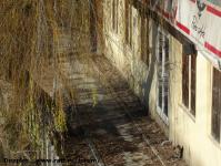 Imagine atasata: Bega - 2014.12.21 - 07.jpg